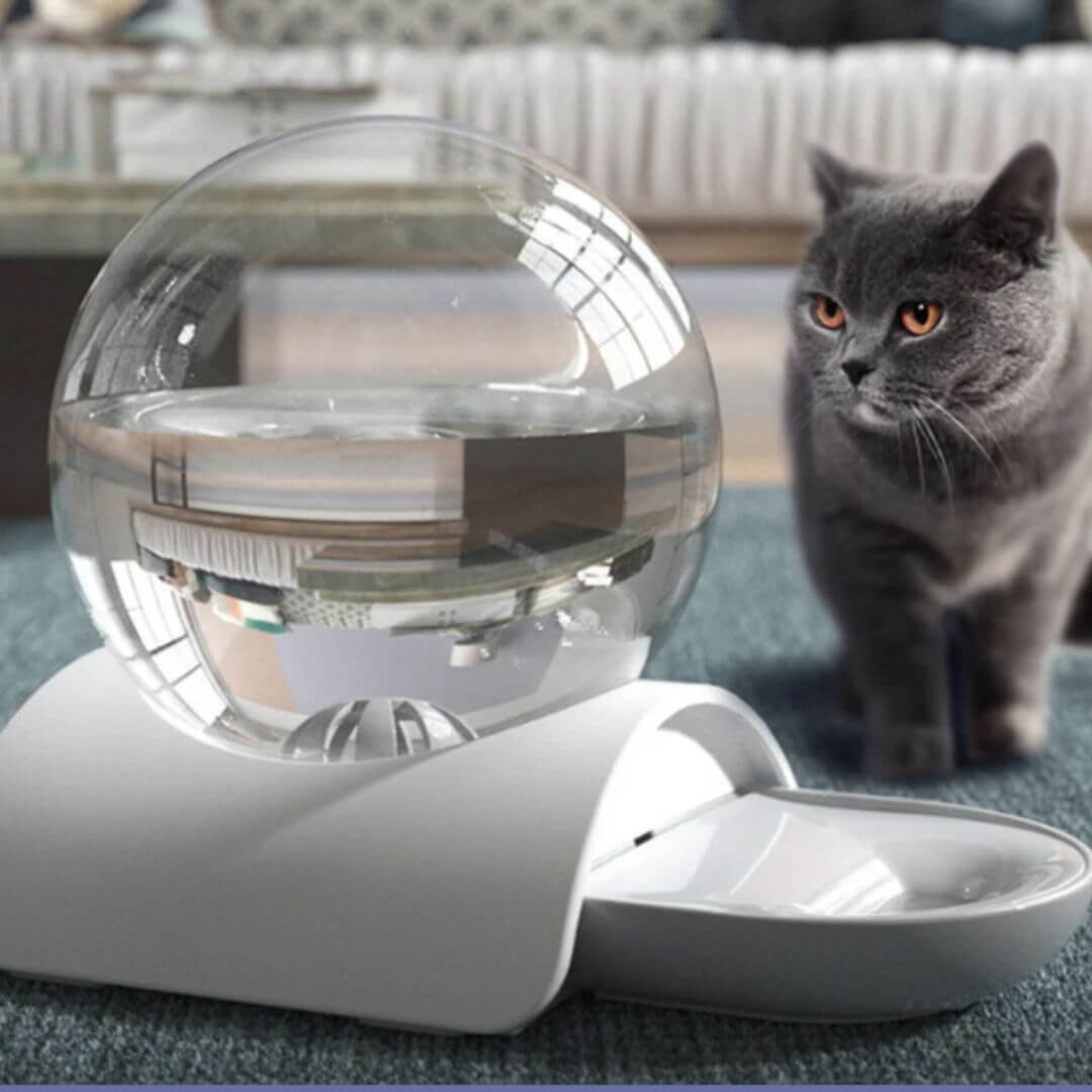 FONTAINE À EAU CHAT | Modèle Écologique™ - opaschats