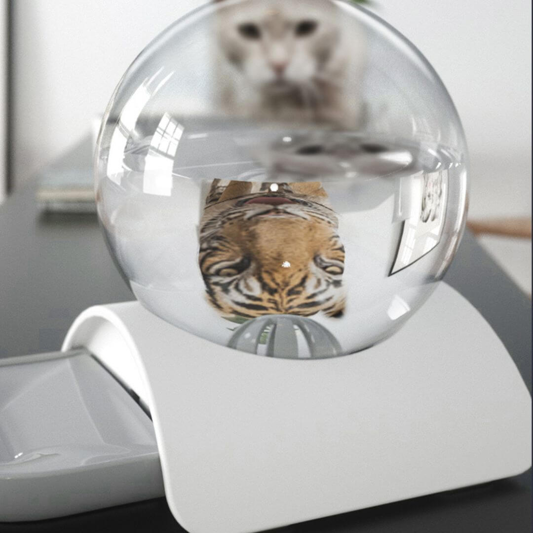 FONTAINE À EAU CHAT | Modèle Écologique™ - opaschats