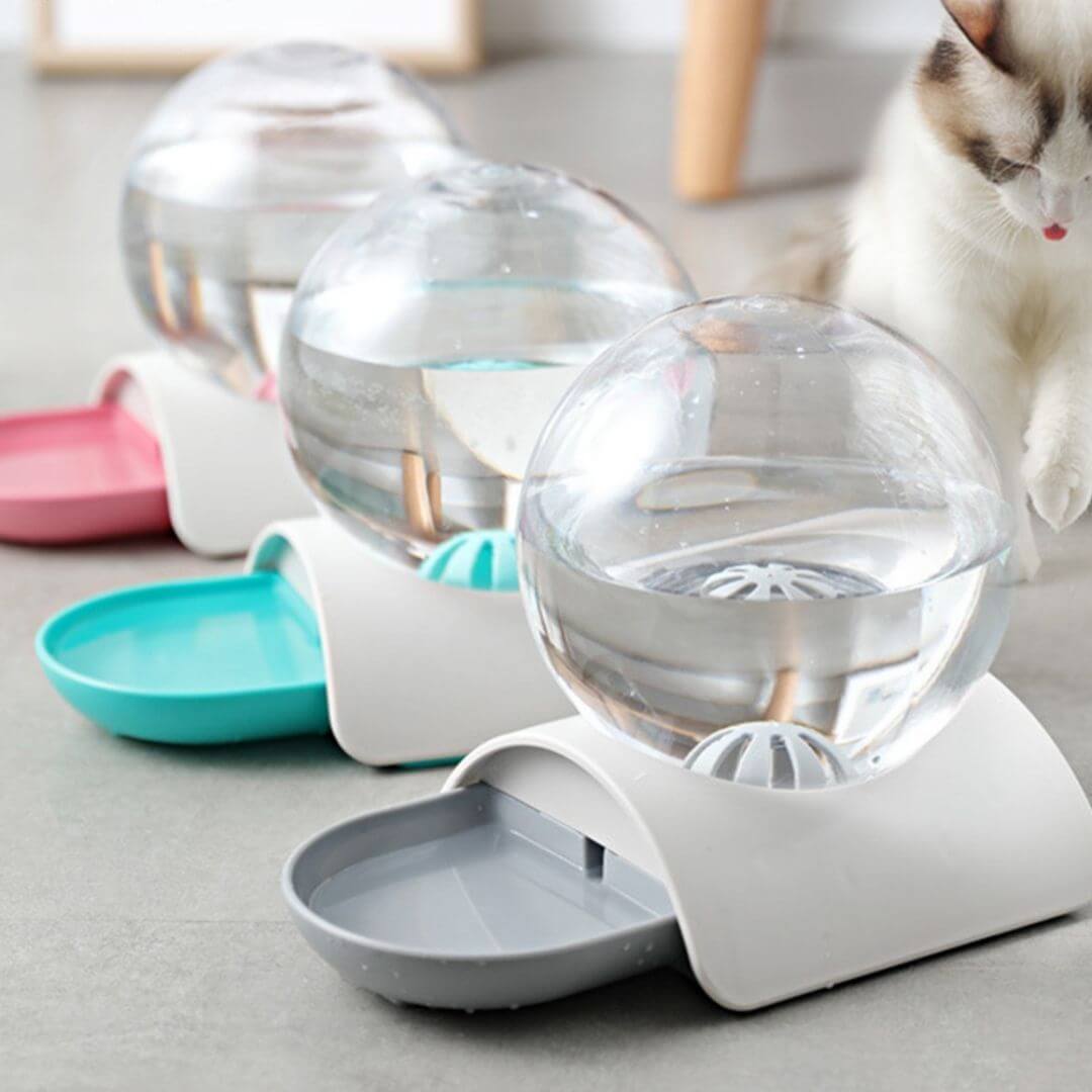 FONTAINE À EAU CHAT | Modèle Écologique™ - opaschats