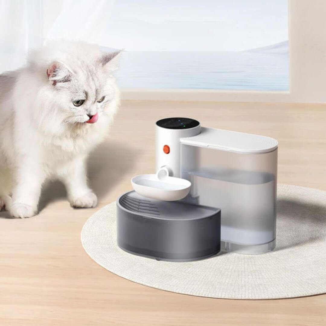 FONTAINE A EAU CHAT | Ruisseau Chatoyant™ - opaschats