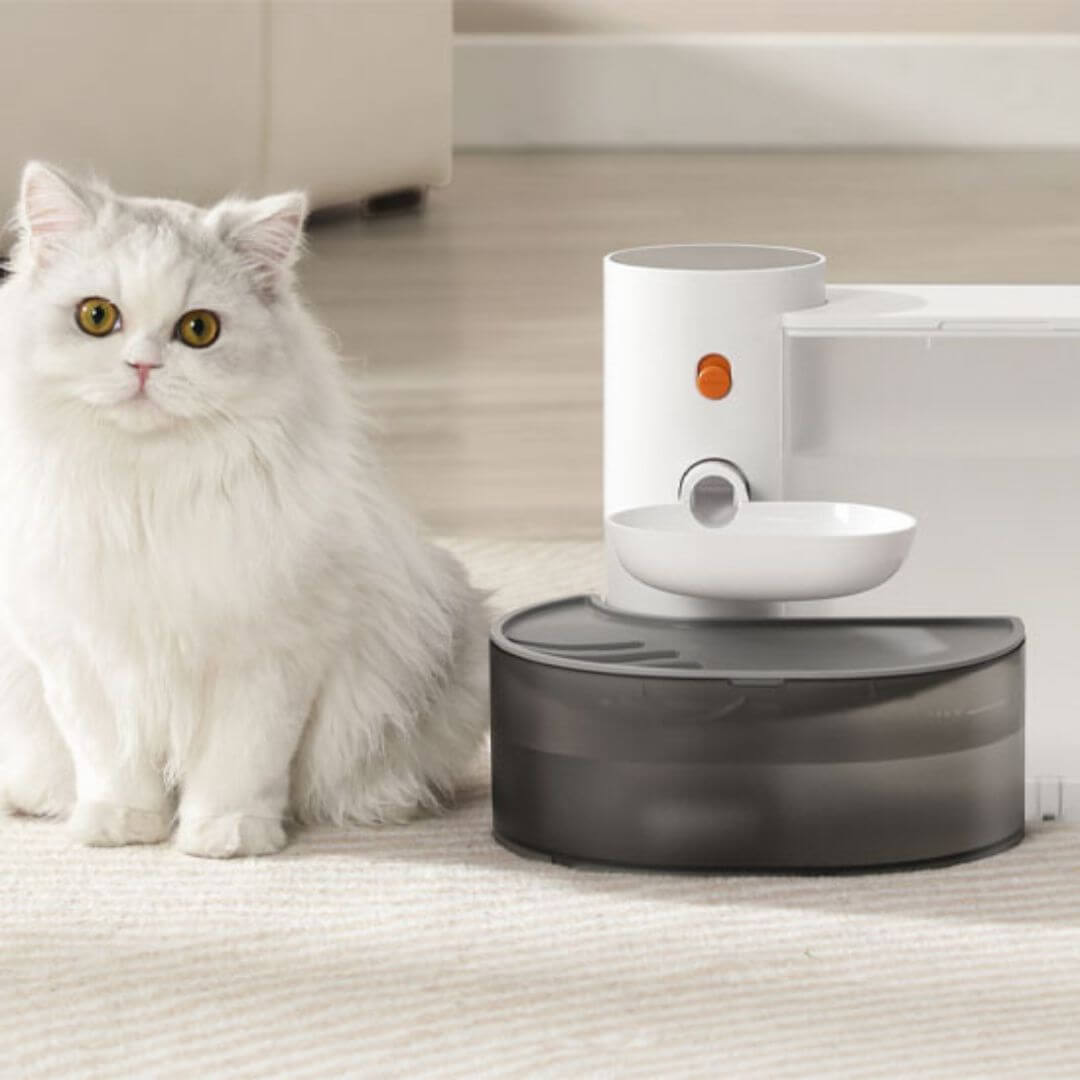 FONTAINE A EAU CHAT | Ruisseau Chatoyant™ - opaschats