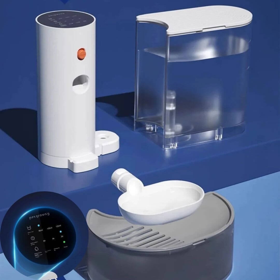 FONTAINE A EAU CHAT | Ruisseau Chatoyant™ - opaschats