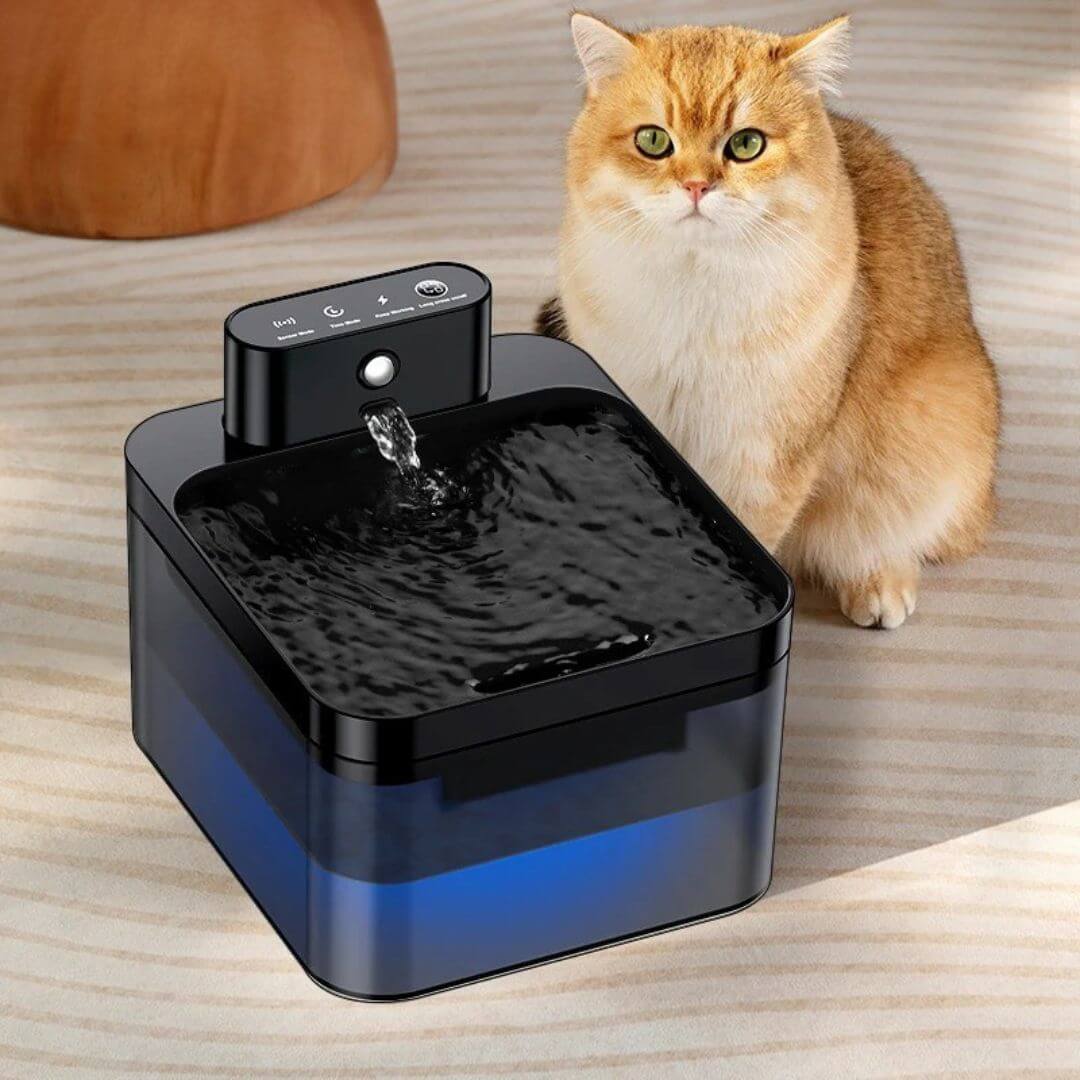 FONTAINE A EAU CHAT | Ruisseau des Compagnons™ - opaschats