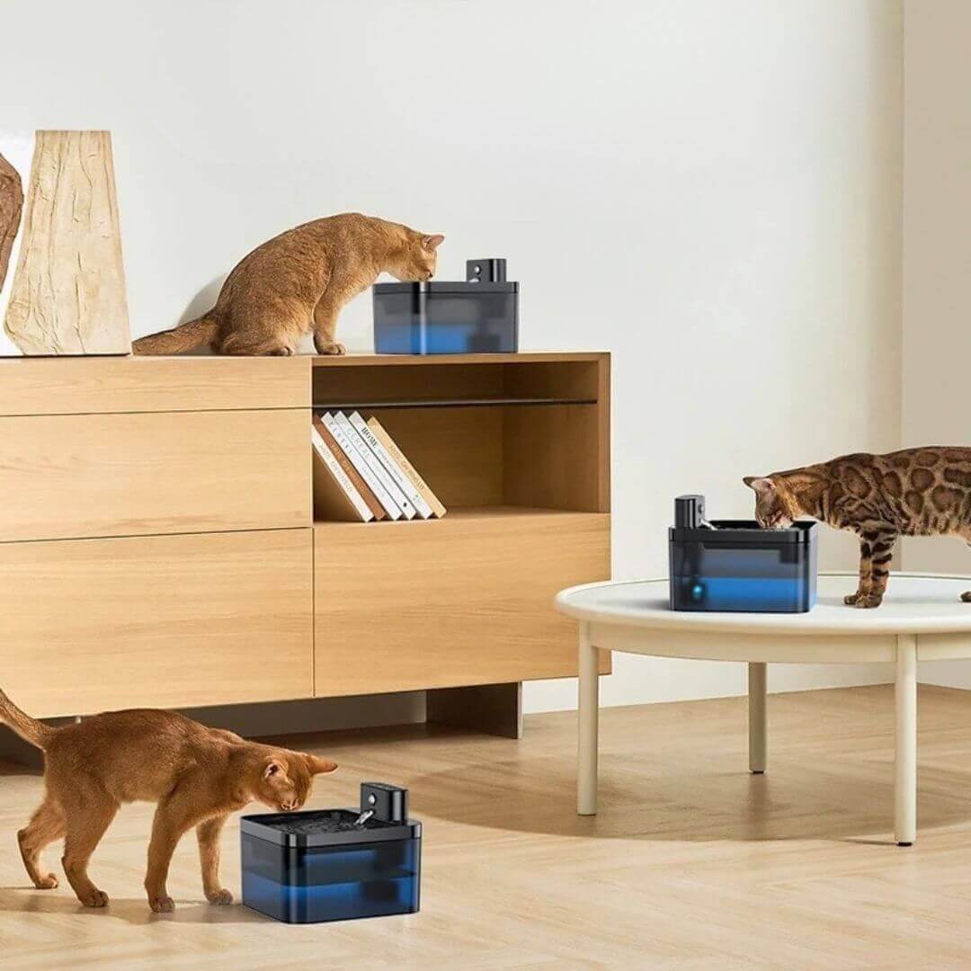 FONTAINE A EAU CHAT | Ruisseau des Compagnons™ - opaschats