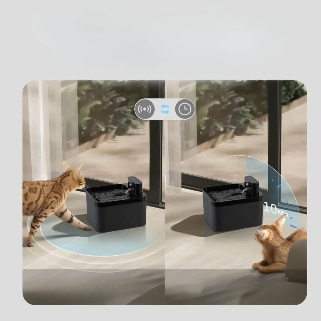 FONTAINE A EAU CHAT | Ruisseau des Compagnons™ - opaschats