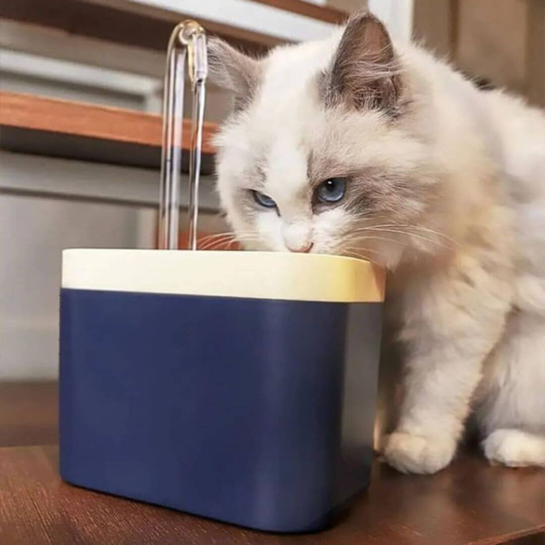 FONTAINE A EAU CHAT | Style Robinet™ - opaschats