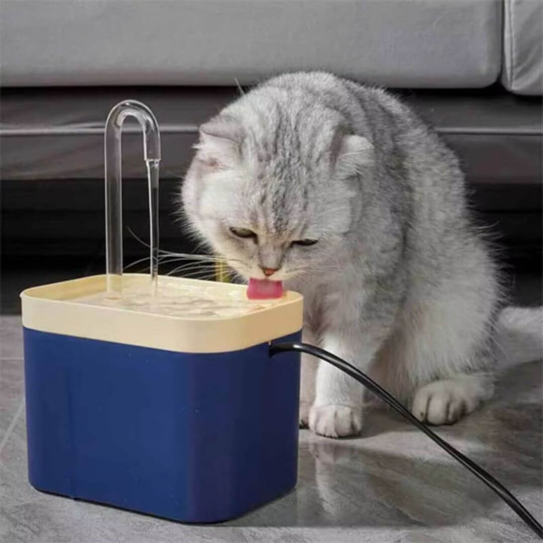 FONTAINE A EAU CHAT | Style Robinet™ - opaschats