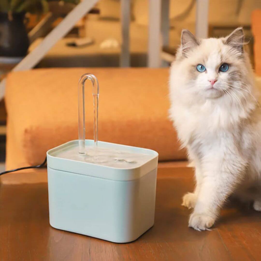 FONTAINE A EAU CHAT | Style Robinet™ - opaschats