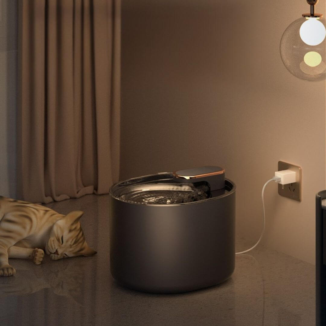 FONTAINE EAU CHAT | Design Épuré™ - opaschats