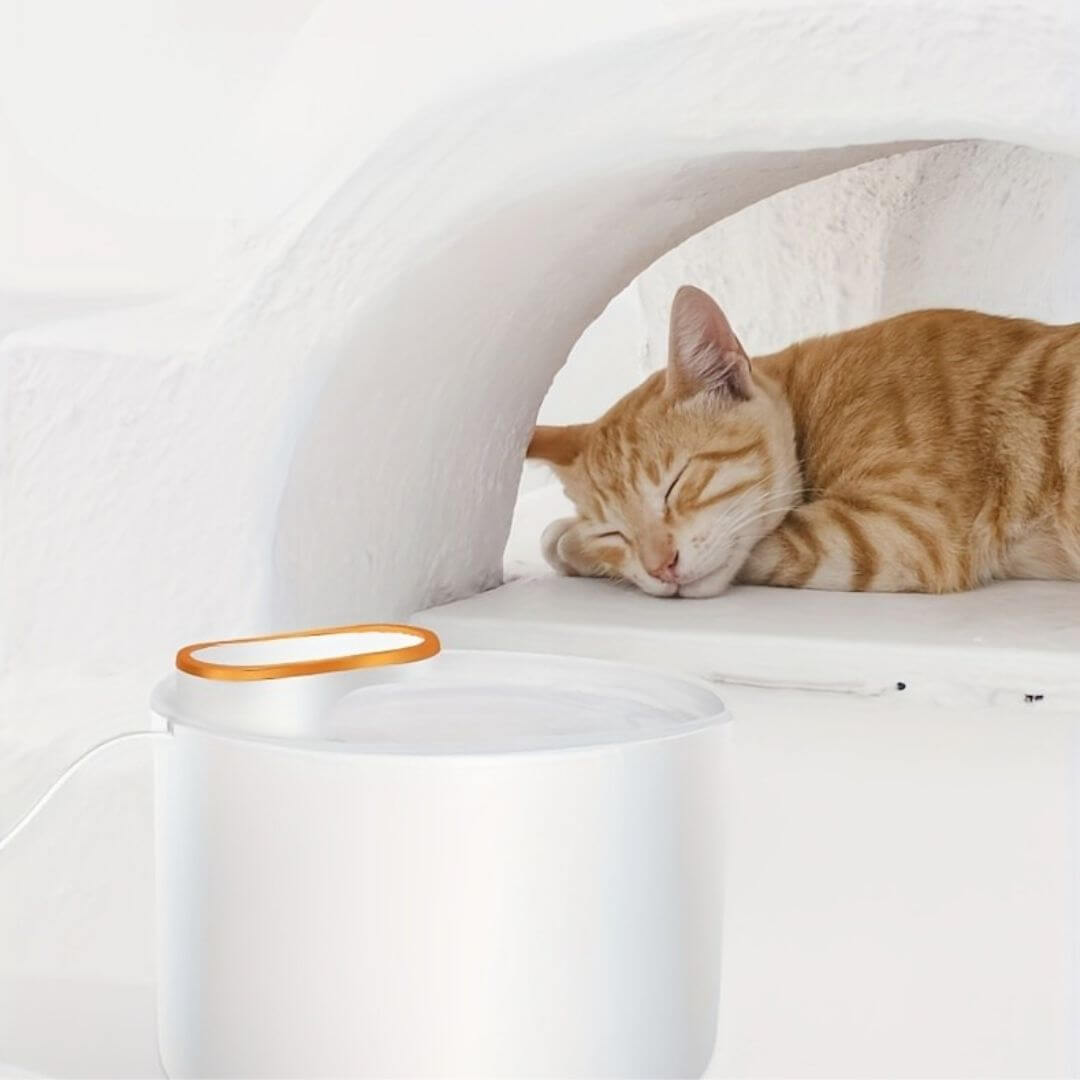 FONTAINE EAU CHAT | Design Épuré™ - opaschats