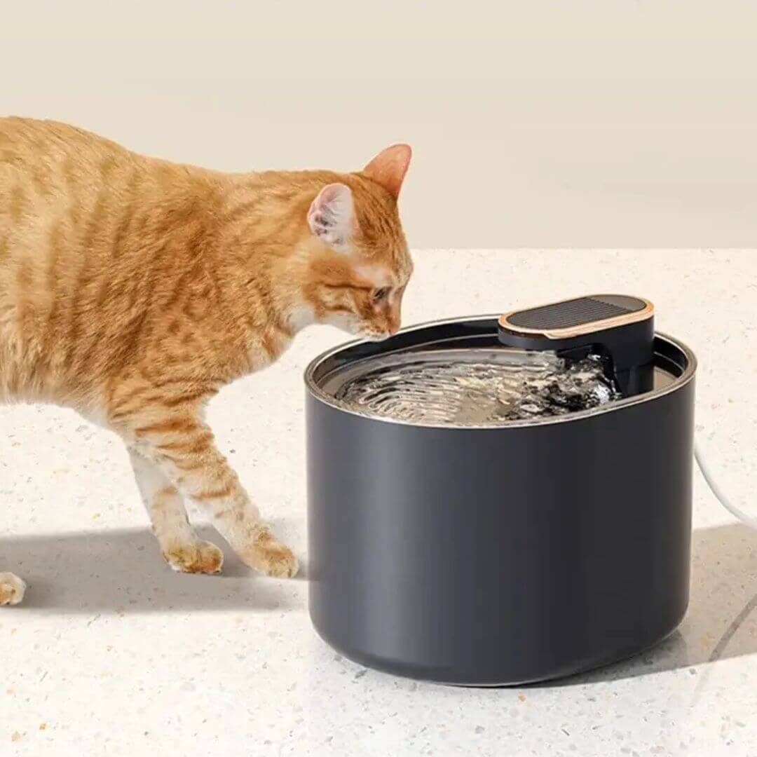 FONTAINE EAU CHAT | Design Épuré™ - opaschats