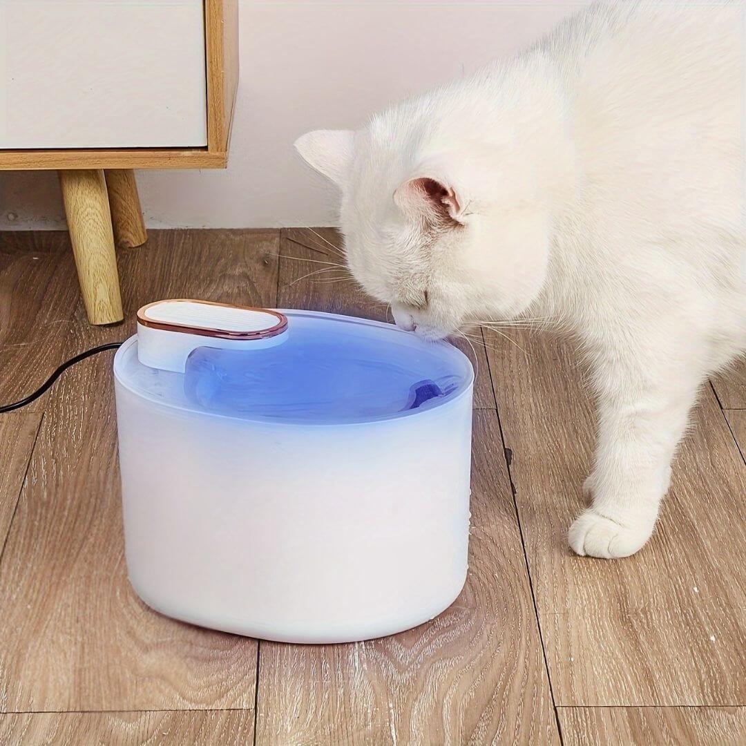 FONTAINE EAU CHAT | Design Épuré™ - opaschats