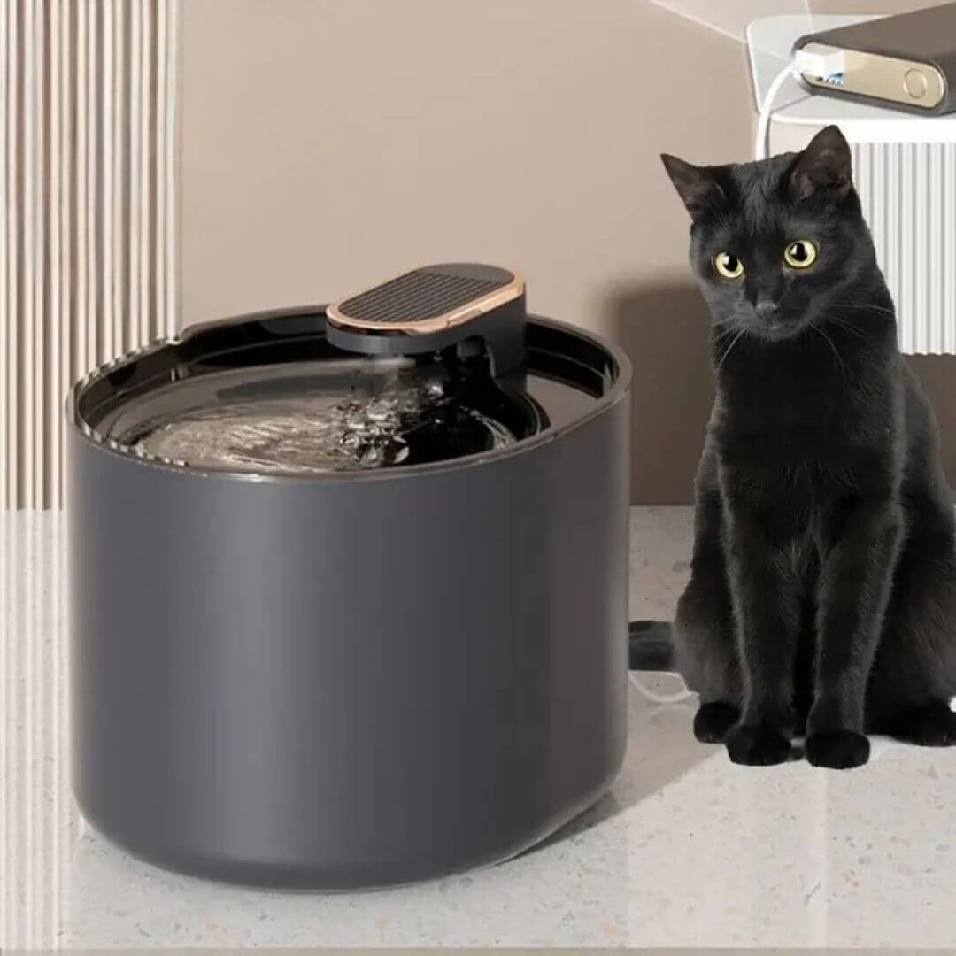 FONTAINE EAU CHAT | Design Épuré™ - opaschats