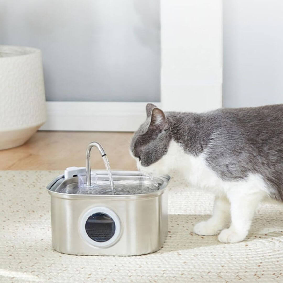 FONTAINE EAU CHAT | Fontaine Pureté™ - opaschats