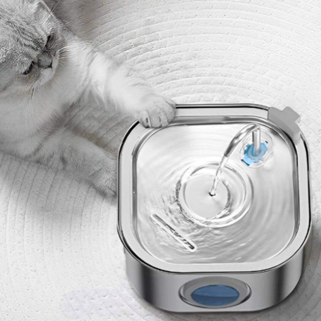FONTAINE EAU CHAT | Fontaine Pureté™ - opaschats