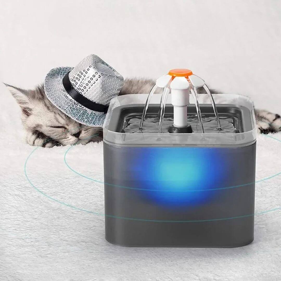 FONTAINE EAU POUR CHAT | Florale™ - opaschats