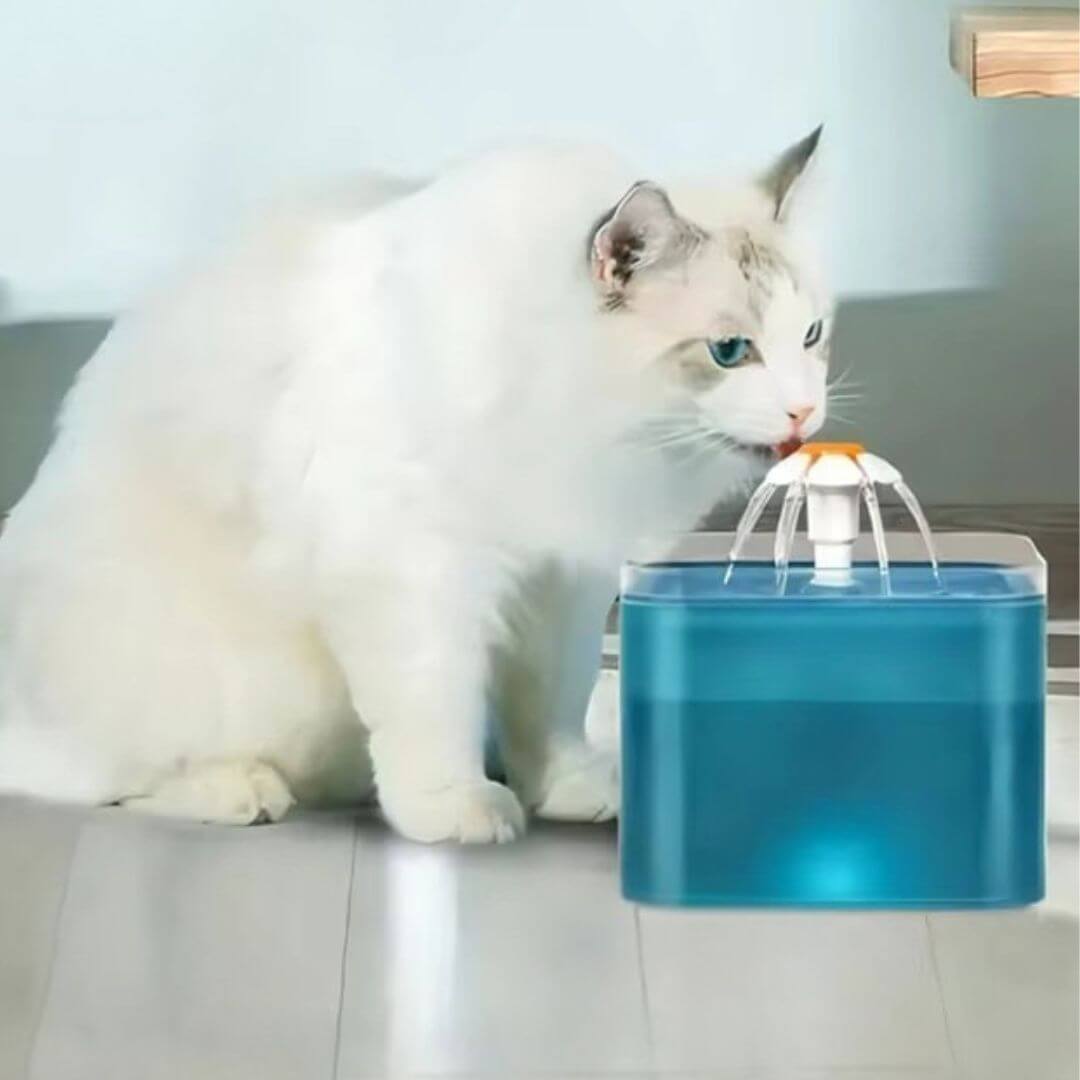 FONTAINE EAU POUR CHAT | Florale™ - opaschats
