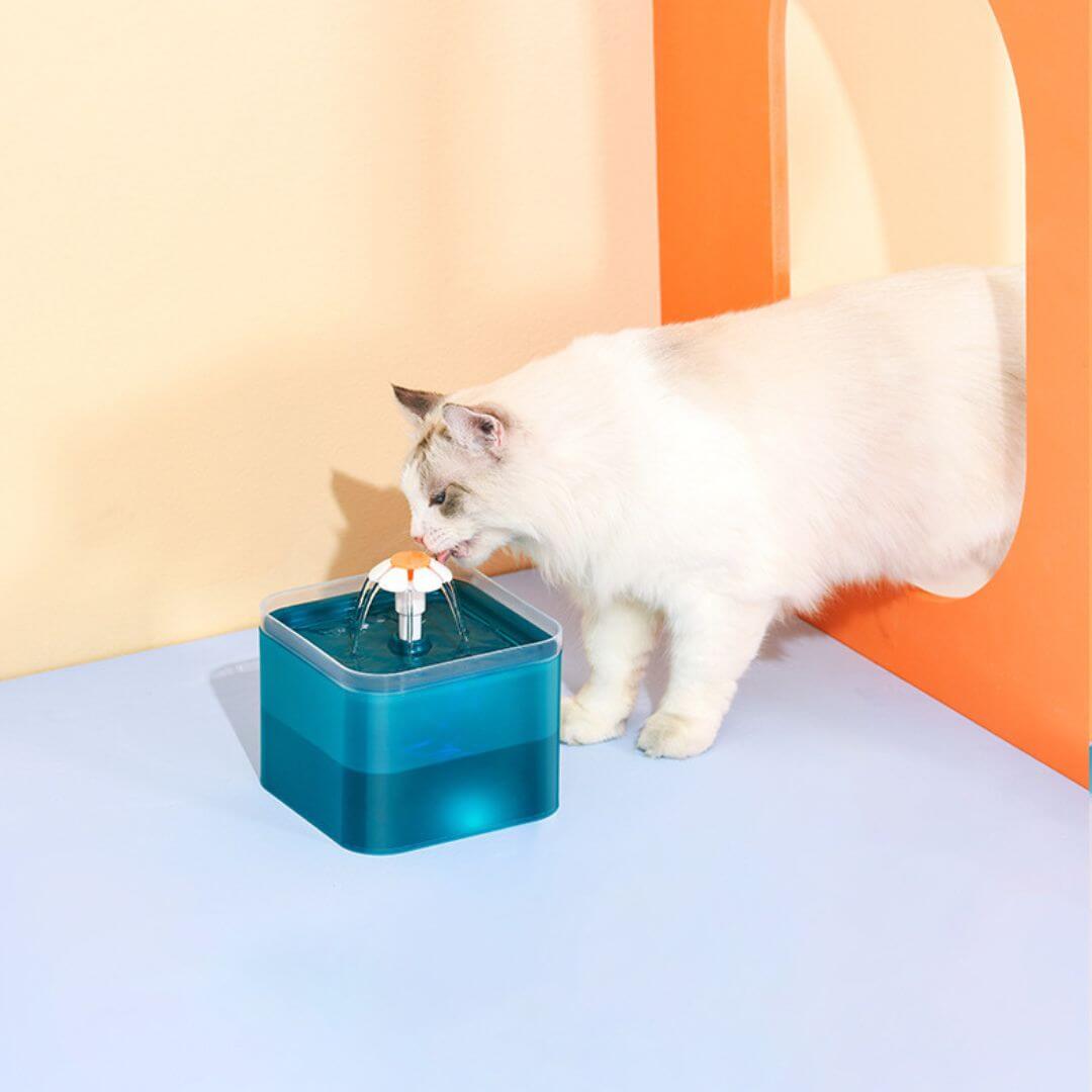 FONTAINE EAU POUR CHAT | Florale™ - opaschats