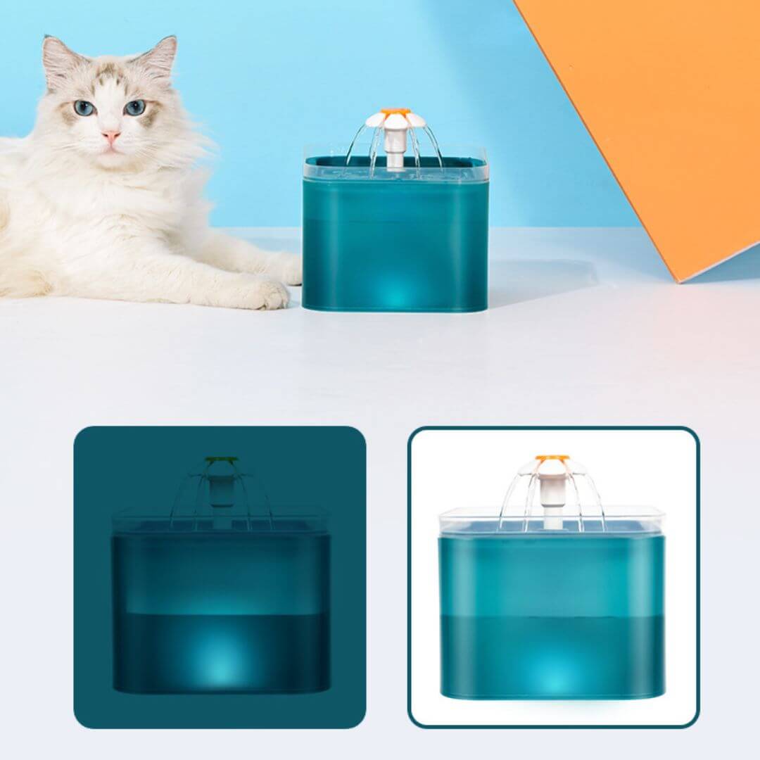 FONTAINE EAU POUR CHAT | Florale™ - opaschats