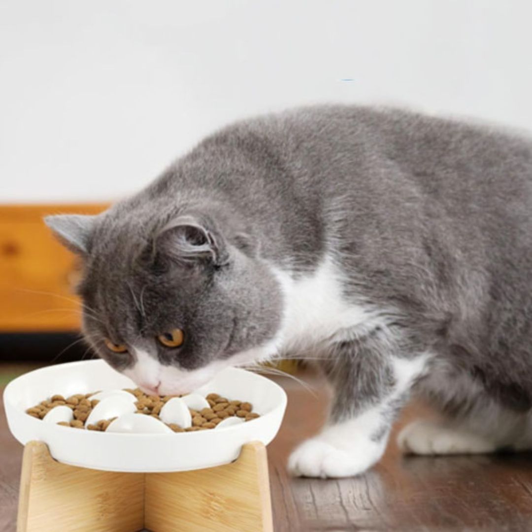 GAMELLE ANTI GLOUTON CHAT | Cat'Bol™ - opaschats