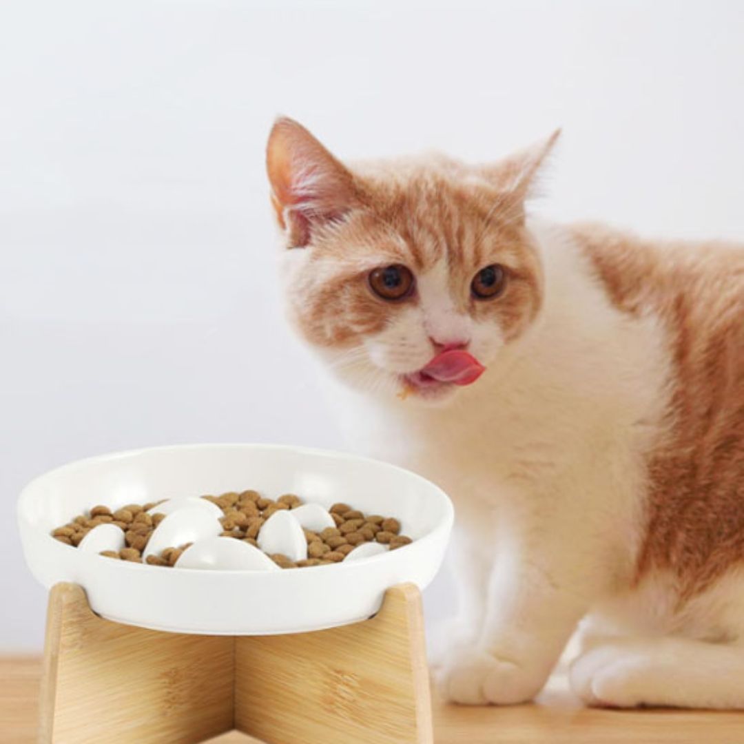 GAMELLE ANTI GLOUTON CHAT | Cat'Bol™ - opaschats