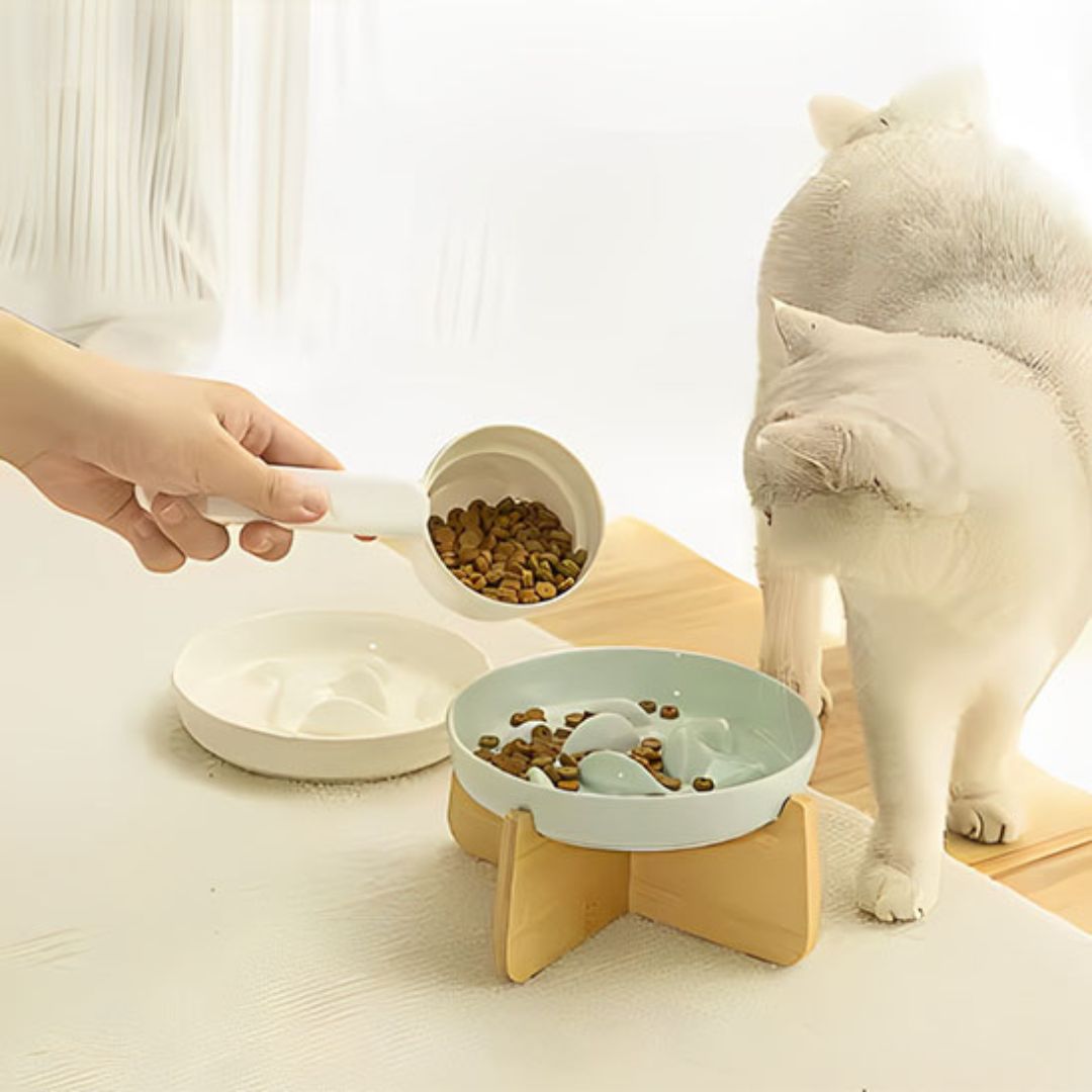 GAMELLE ANTI GLOUTON CHAT | Cat'Bol™ - opaschats