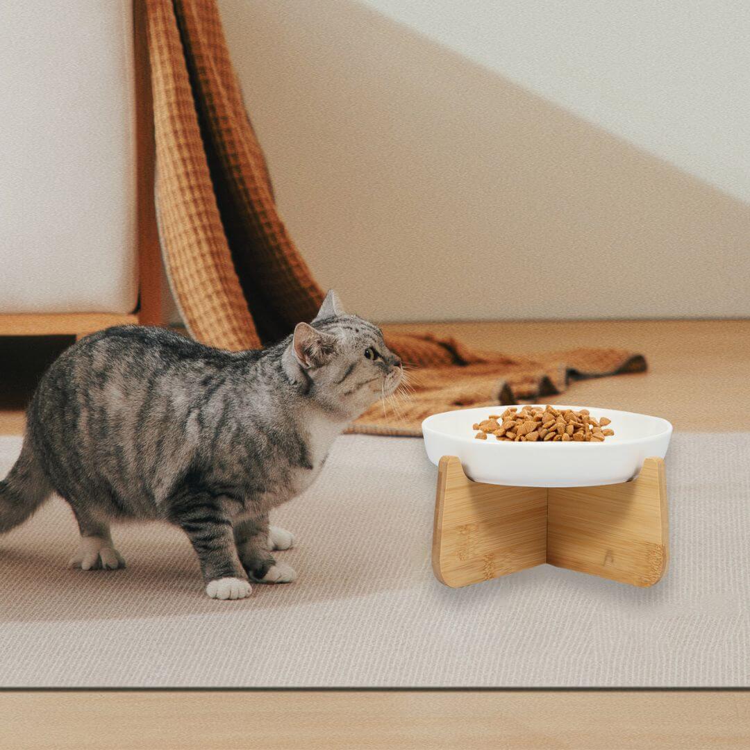 GAMELLE ANTI GLOUTON CHAT | Cat'Bol™ - opaschats