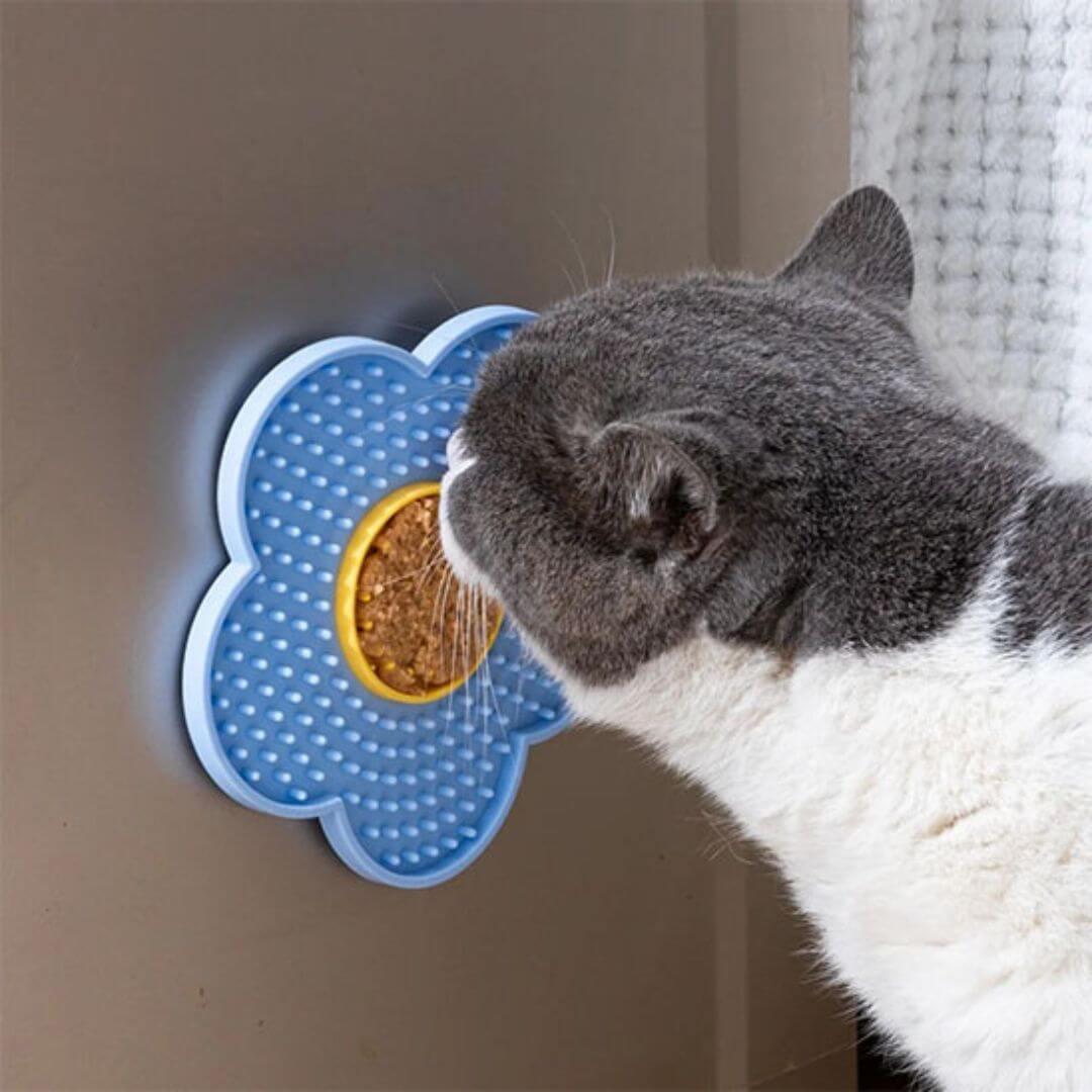GAMELLE ANTI GLOUTON CHAT | Fleur Délice™ - opaschats