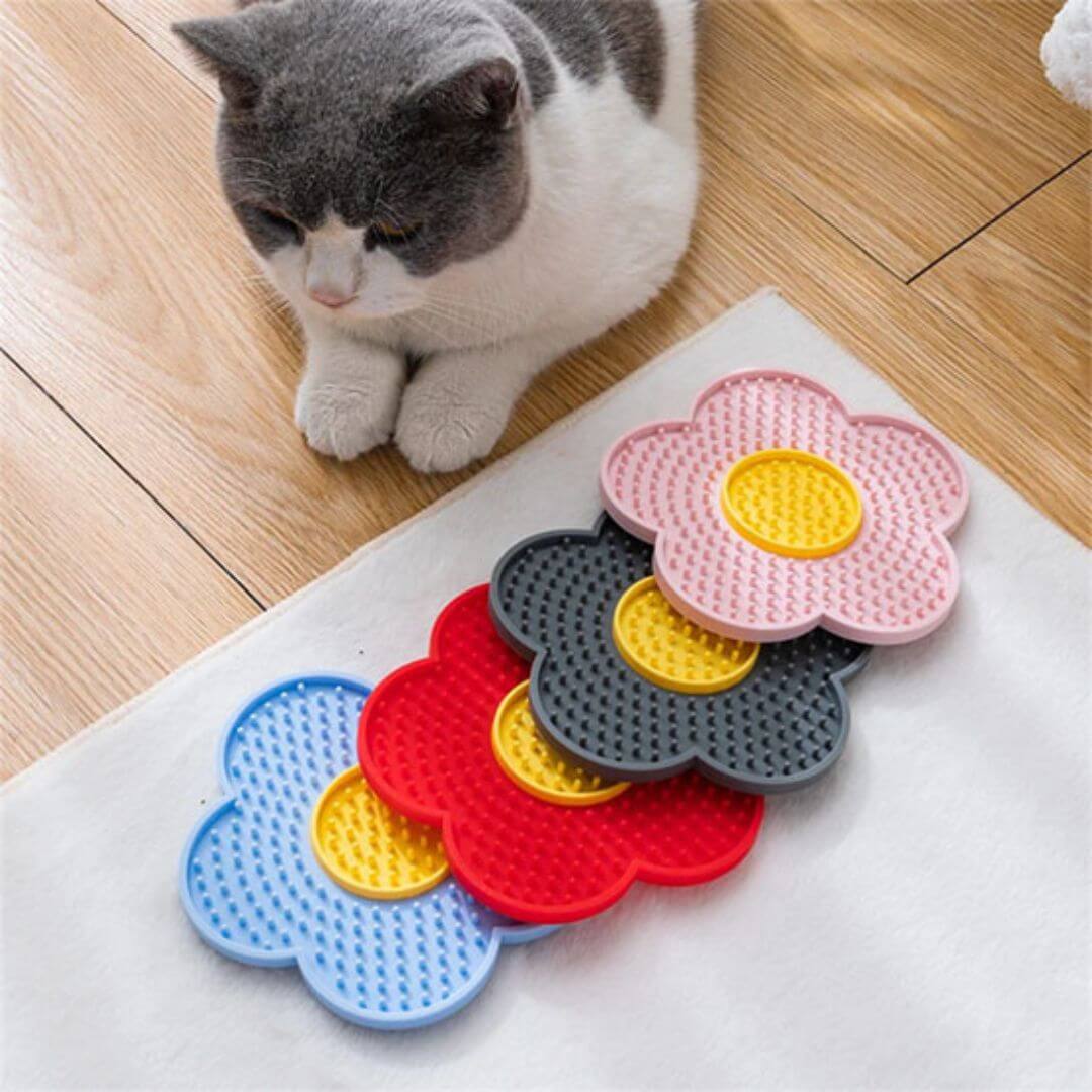 GAMELLE ANTI GLOUTON CHAT | Fleur Délice™ - opaschats