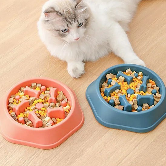 GAMELLE ANTI GLOUTON CHAT | Labyrintheâą - opaschats