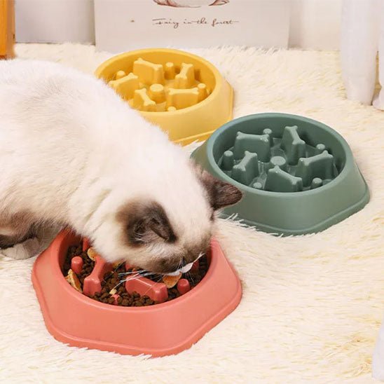 GAMELLE ANTI GLOUTON CHAT | Labyrintheâą - opaschats