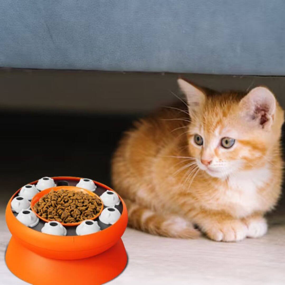 GAMELLE ANTI GLOUTON CHAT |Œil de Chat™ - opaschats