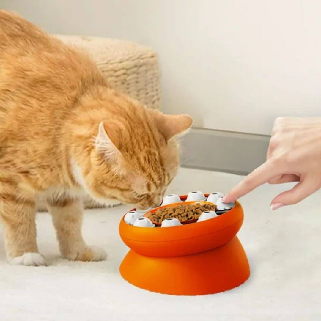 GAMELLE ANTI GLOUTON CHAT |Œil de Chat™ - opaschats