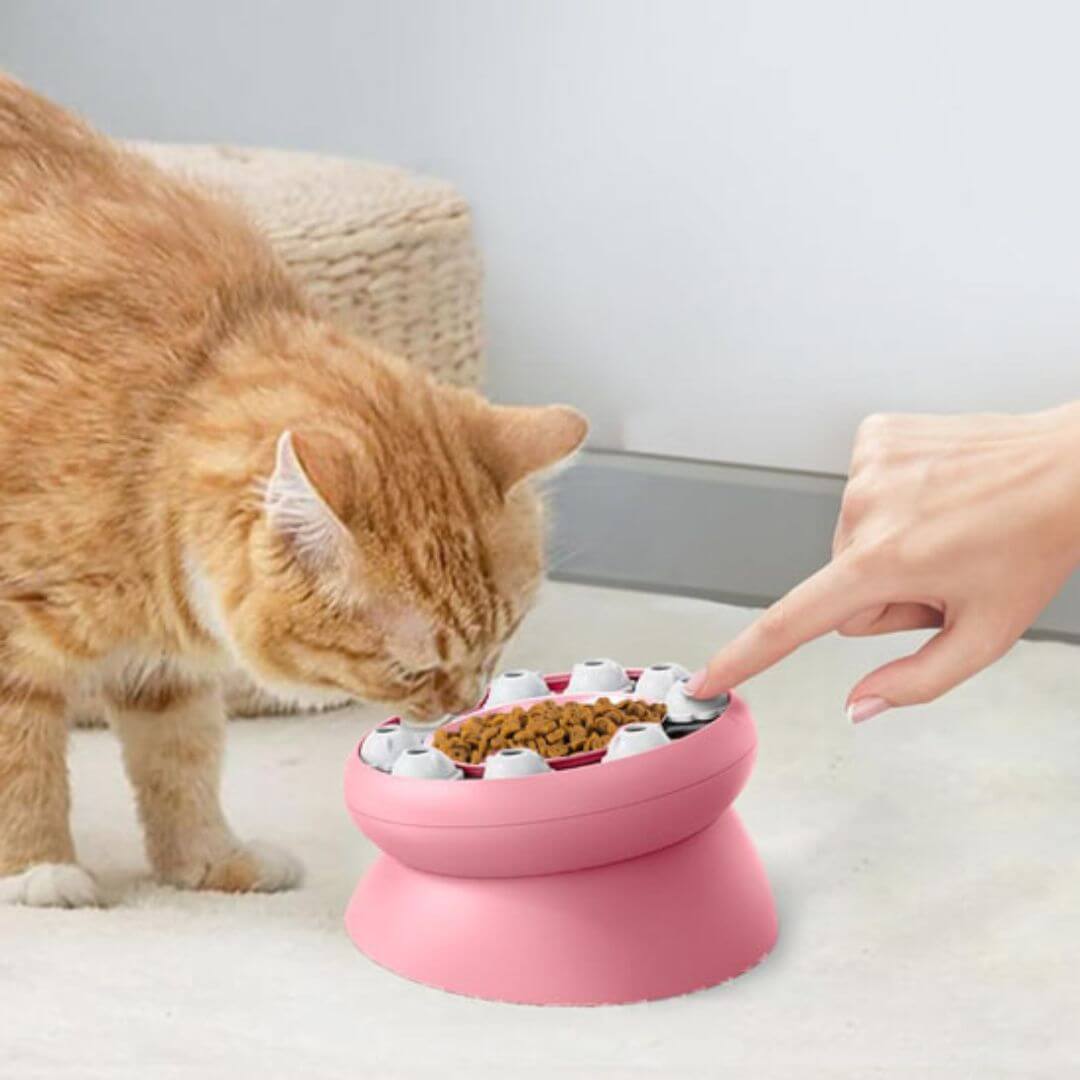 gamelle anti glouton chat | œil de chat - opaschats