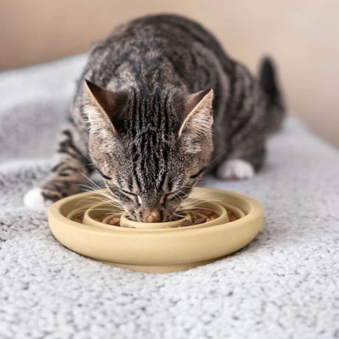 GAMELLE ANTI GLOUTON CHAT | Tournicoti™ - opaschats