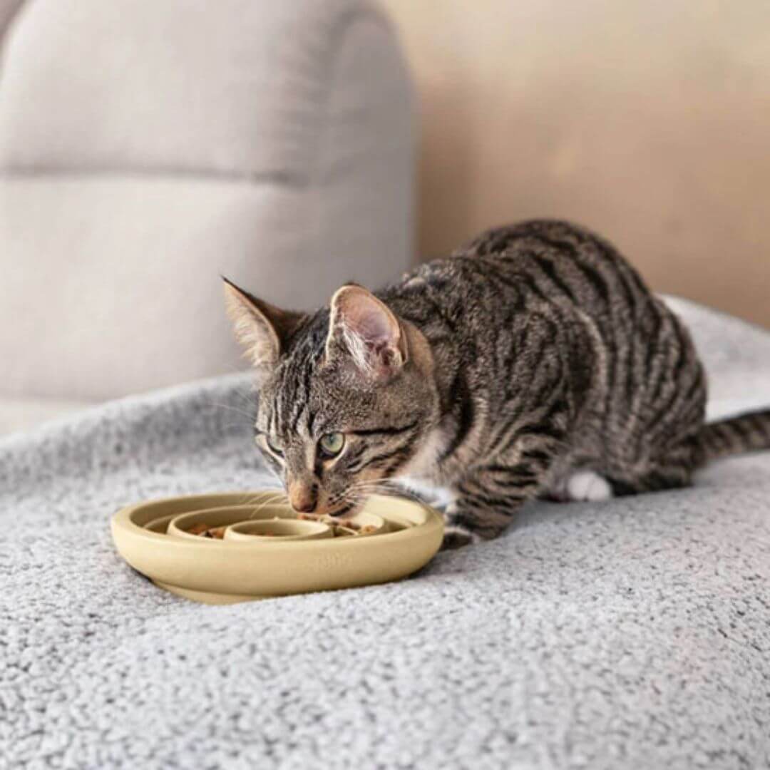 GAMELLE ANTI GLOUTON CHAT | Tournicoti™ - opaschats