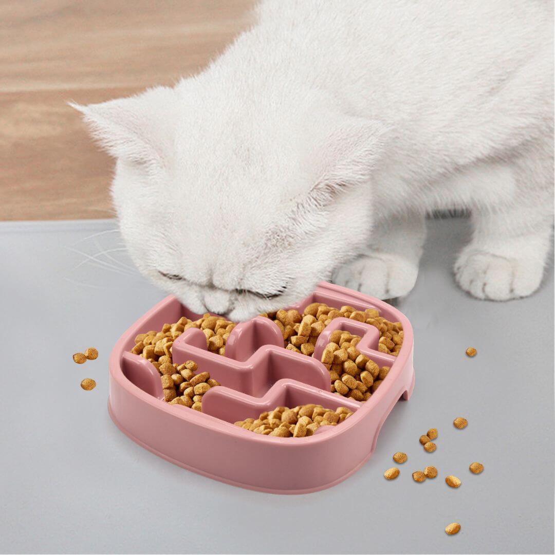 GAMELLE ANTI GLOUTON CHAT | Zen Attitude™ - opaschats