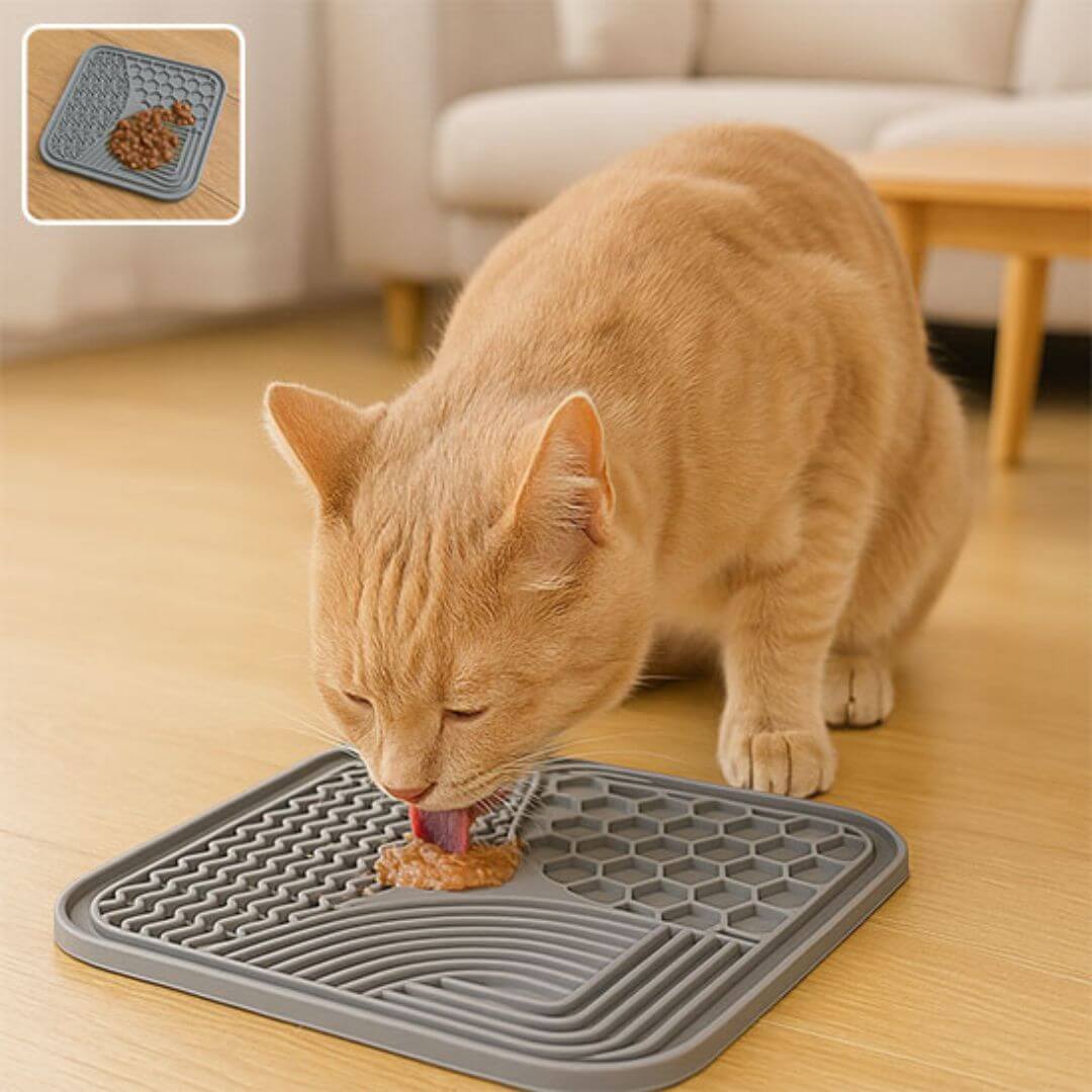 GAMELLE ANTI GLOUTON | Poisson Chat™ - opaschats