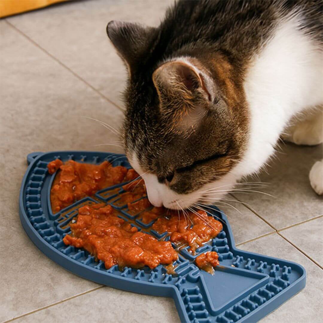 GAMELLE ANTI GLOUTON | Poisson Chat™ - opaschats
