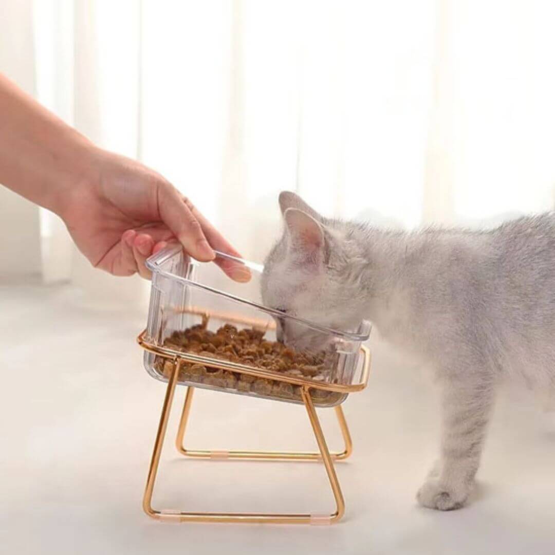 GAMELLE CHAT | Anti régurgitation™ - opaschats