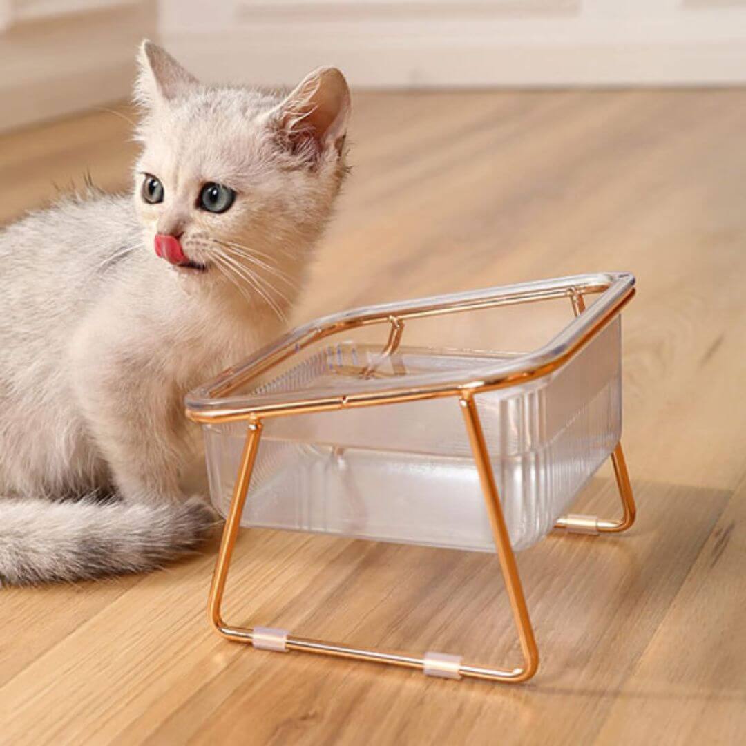 GAMELLE CHAT | Anti régurgitation™ - opaschats