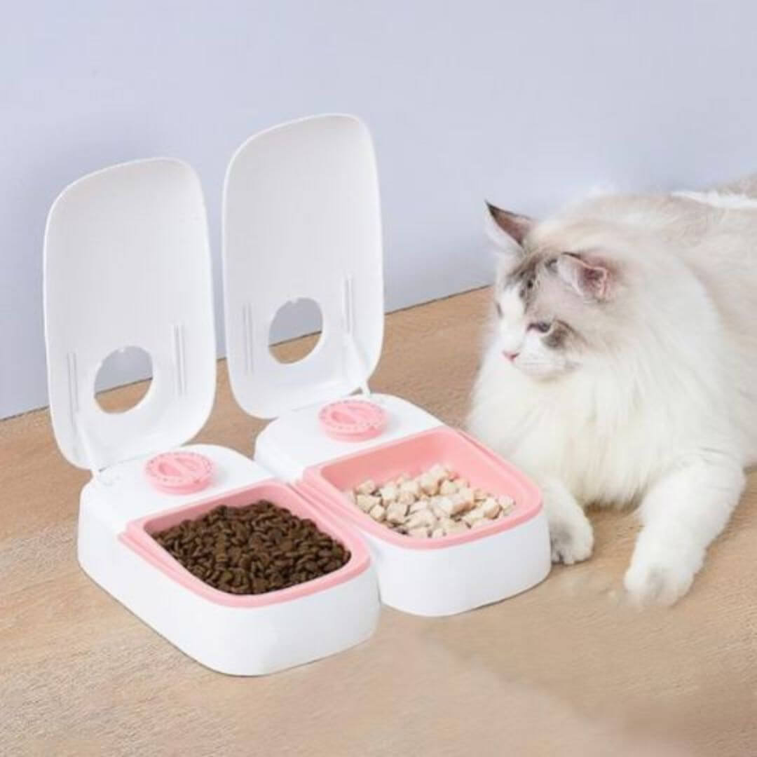 GAMELLE CHAT AUTOMATIQUE | Gamelle Futée™ - opaschats