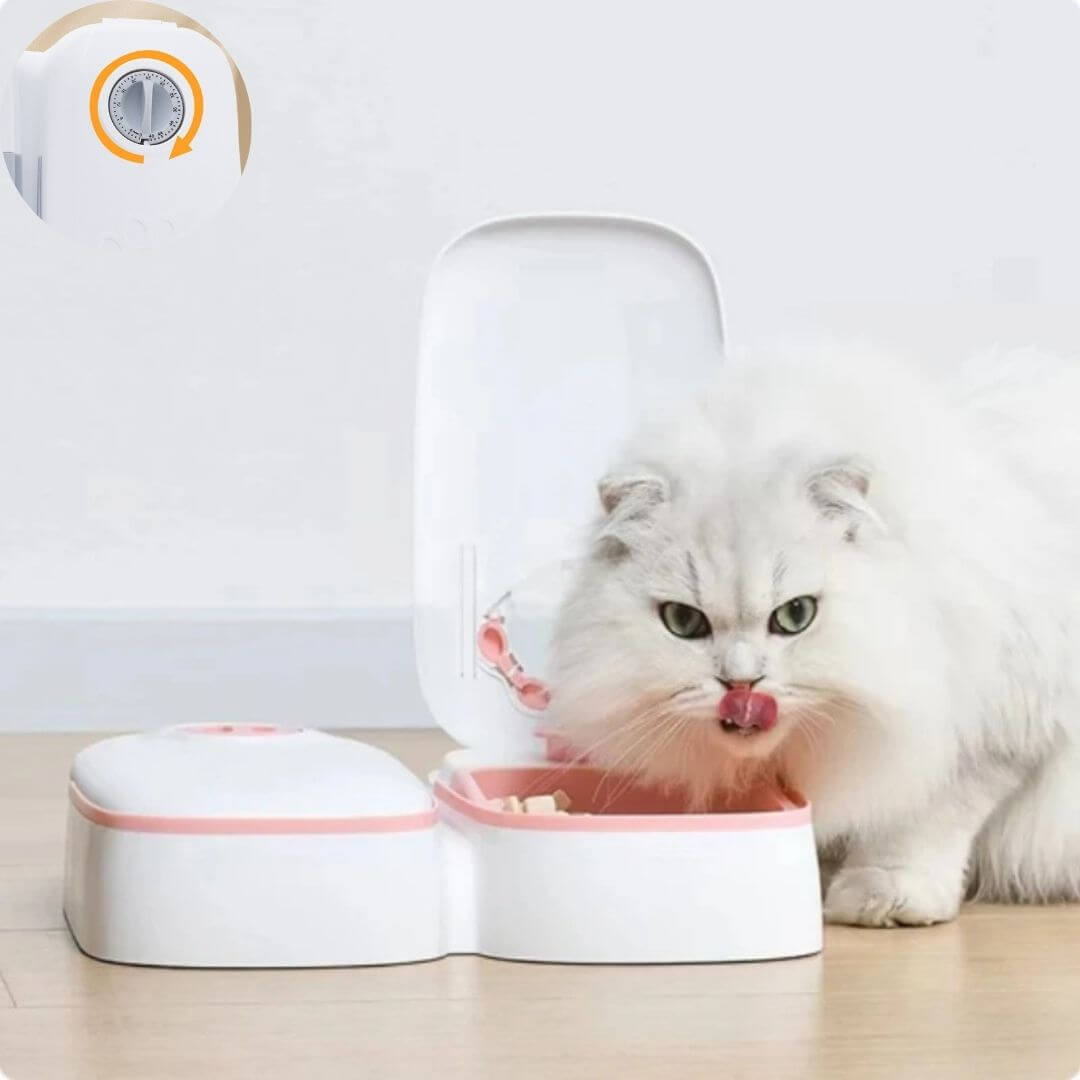 GAMELLE CHAT AUTOMATIQUE | Gamelle Futée™ - opaschats