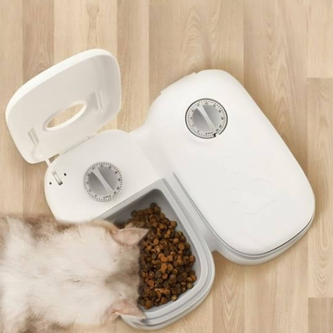 GAMELLE CHAT AUTOMATIQUE | Gamelle Futée™ - opaschats