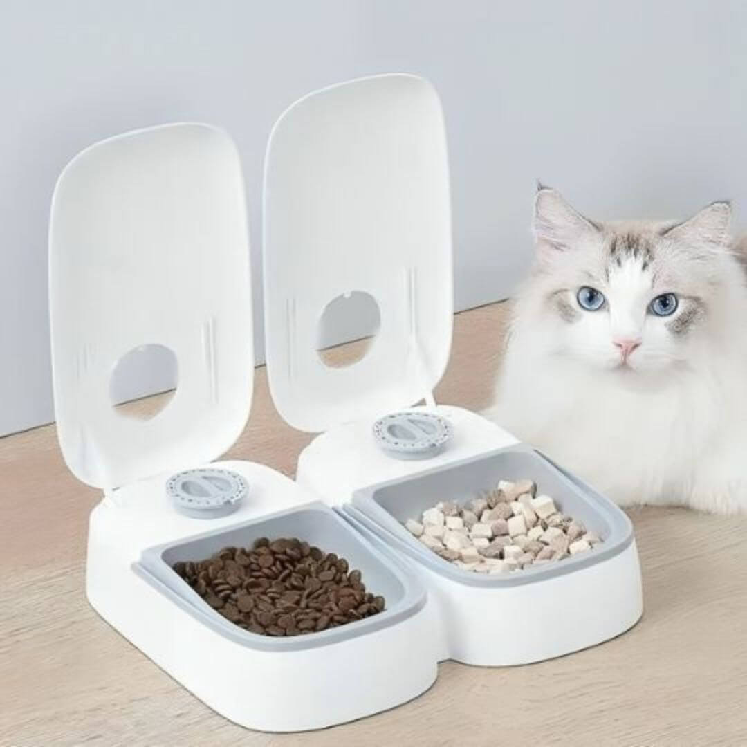 GAMELLE CHAT AUTOMATIQUE | Gamelle Futée™ - opaschats