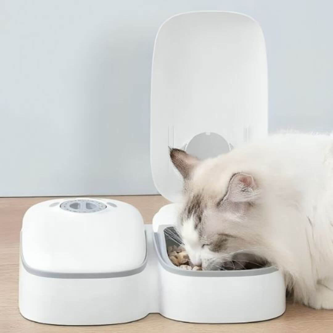 GAMELLE CHAT AUTOMATIQUE | Gamelle Futée™ - opaschats