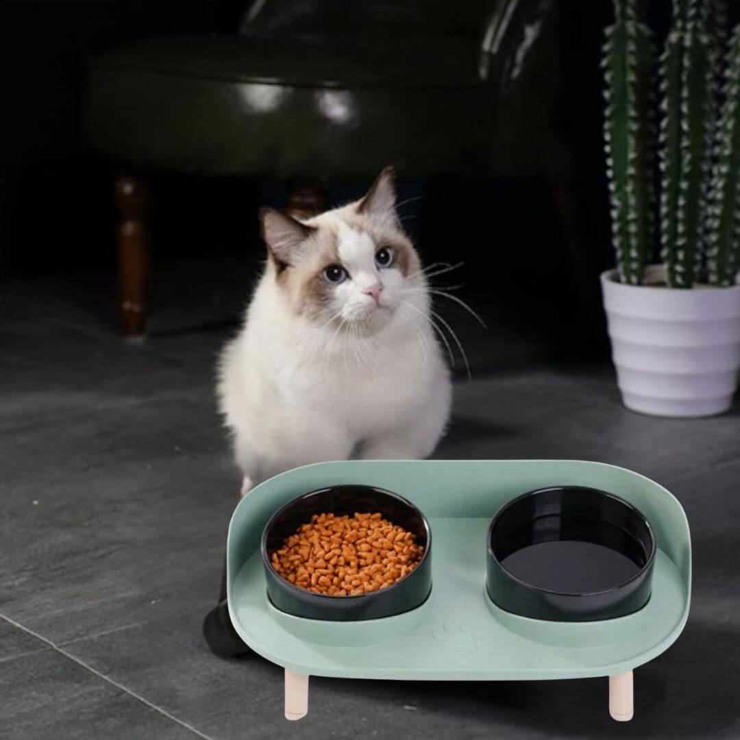 GAMELLE CHAT | Bols Doublesâą - opaschats