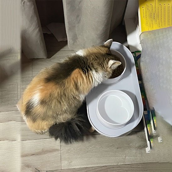 GAMELLE CHAT | Bols Doublesâą - opaschats