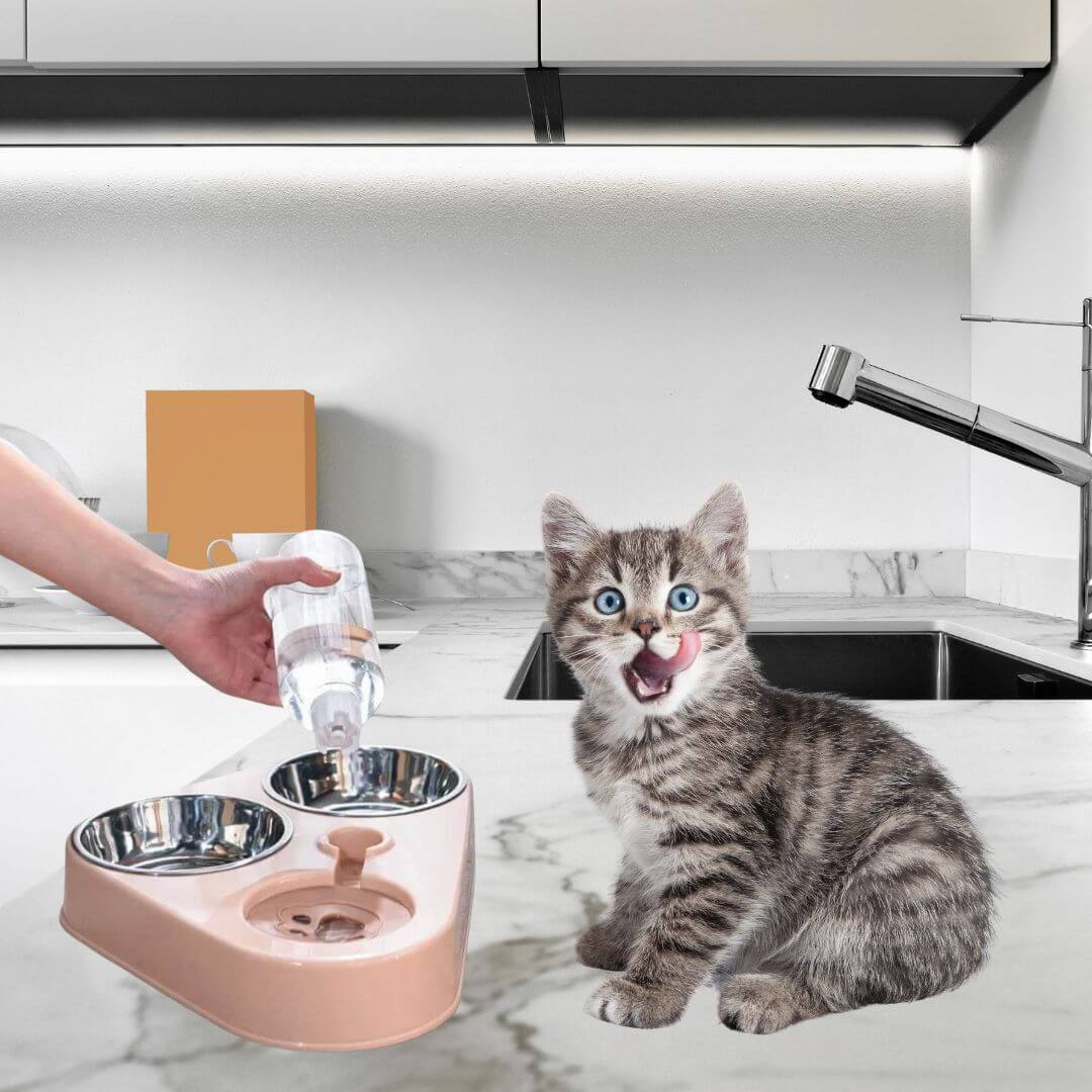 gamelle chat | cat meal™ - opaschats