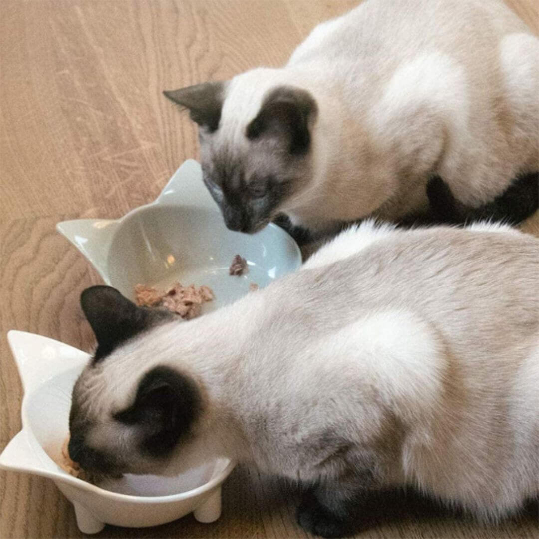 GAMELLE CHAT | Chatounette™ - opaschats